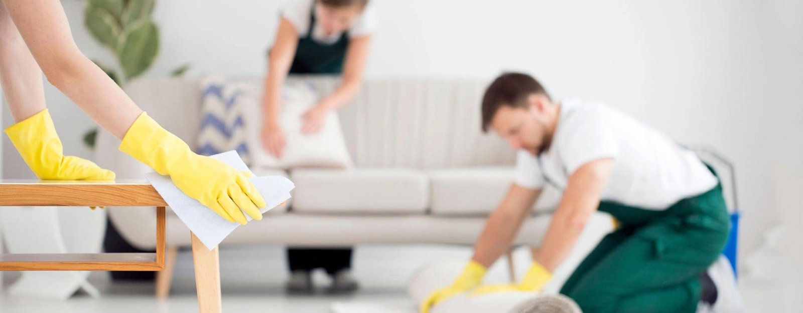 Best Local Cleaners in Washington Dc
